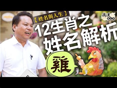 雞名字|【生肖姓名學】生肖屬雞喜忌用字－歹命人自救會：「補八字六派。